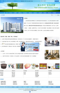 上海天照科技網(wǎng)站建設(shè)案例解析 尤釋網(wǎng)網(wǎng)頁(yè)制作與網(wǎng)絡(luò)工程技術(shù)咨詢服務(wù)